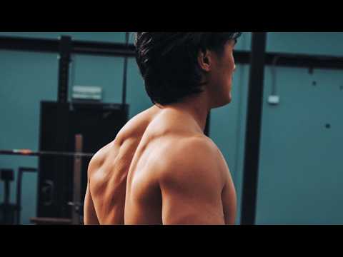 Back, Triceps & Rear Delts Workout (New Training Block)