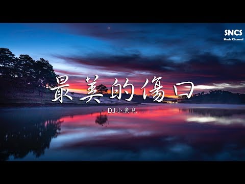 DJ小魚兒 - 最美的傷口 | 高音質動態歌詞