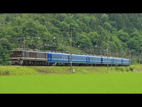 EF64 1001+12系6両　返却回送　新津～高崎