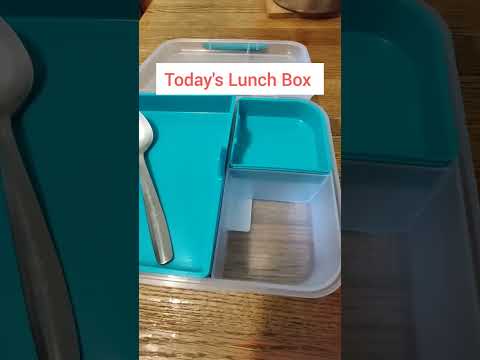 #todayslunchbox #tiffinrecipe #asmrsounds #asmr #officelunch #lunchideas #myhomemakingjourneyaparna