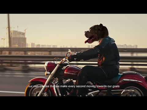 Sobaken For Dogs Biker