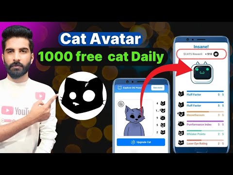 How to increase cats | cat bitget wallet connect | cats photo upload | cats airdrop criteria |