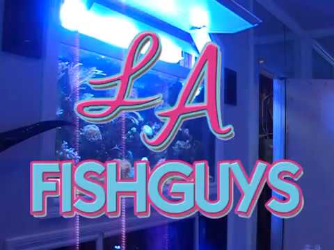 Surge Reef Aquarium, LA Fishguys, Episode Five, Part 1