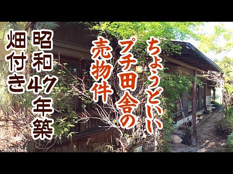 こだわりの木で作った田舎の家＋畑【和歌山】