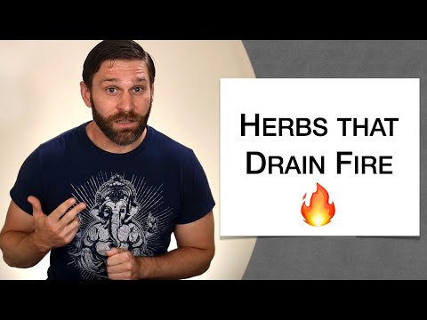 🌿 Herbology 1 Review - Herbs that Drain Fire (Extended Live Lecture)