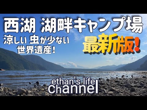 【キャンプ場紹介】西湖湖畔キャンプ場　標高1,000M以上の高地は快適! 蚊がほとんどおらず湿度も低い快適キャンプ場🏕️ ♯ethan's life channel128