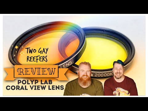 PolypLab Coral View Lens Review with Side by Side Comparisons