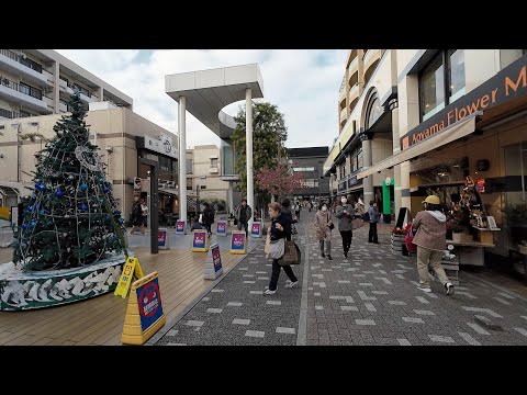 [Tokyo Edition] A walk starting from Sengawa Station: 4K Japan