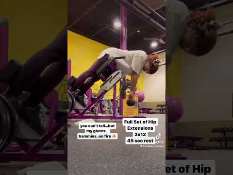 Planet Fitness - Hip Extensions