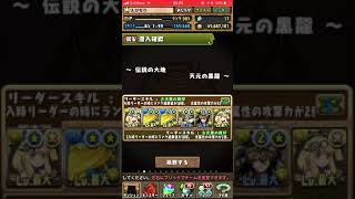 【パズドラ】【天元の黒龍】天元高速周回 サレーネ×サレーネ