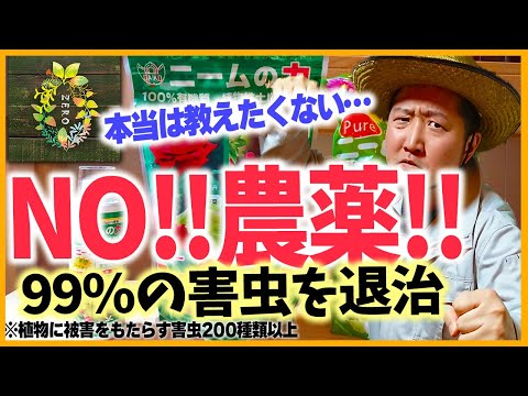 【園芸】99%の人が知らない薬剤を使わずコバエ・ゴキブリを退治駆除する方法【無農薬ガーデニング】【ニーム】