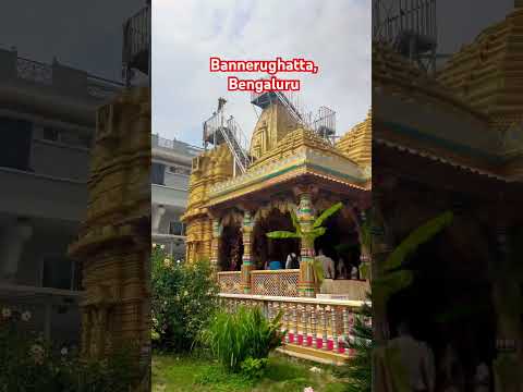 Shree Ashapura Mataji Tempe #bengaluru #durgapuja #mata #temple #travel #yt