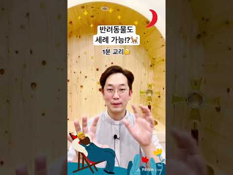 “반려동물도 세례 받을 수 있나요?” 1분 교리🧐