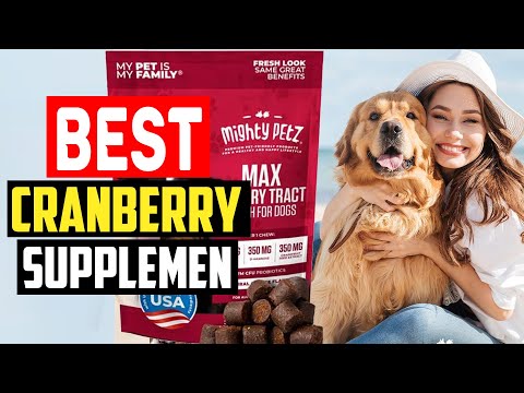 ✅Top 5 Best Cranberry Supplements For Dogs in 2023