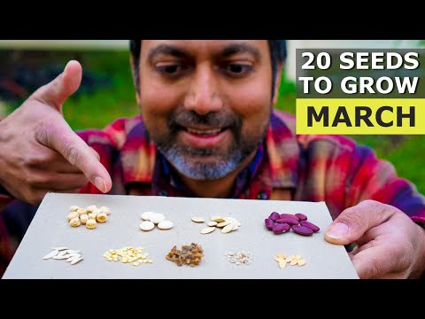 20 Seeds You MUST Grow in March