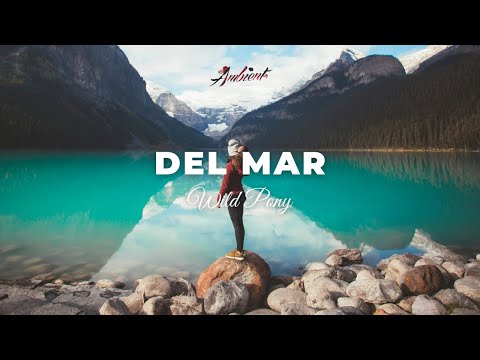 Wild Pony - Del Mar [ambient chill electronic]