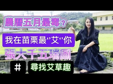 端午節特輯／農曆五月最毒？／我在苗栗最‘’艾‘’你！因張大千五瑞圖探訪艾草認識四千年艾草文化／Chinese Dragon Boat Festival Culture