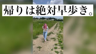 看護学生の行きと帰り　#Shorts