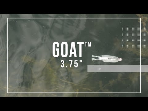 3 Ways to FISH THE GOAT