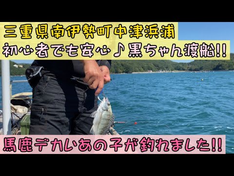 【チヌかかり釣り】三重県南伊勢でオススメの渡船屋筏釣り