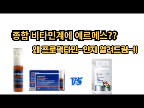 멀티비타민의 에르메스는 에르터미~ 아닌가요?