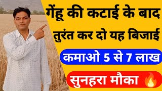 गेहूं की कटाई के बाद में क्या बोए।what to sow after harvesting wheat।april me konsi fasal ugaye