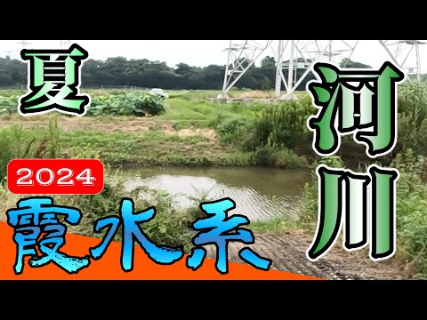 【バス釣り】【霞ヶ浦】鬼バイト_水路_常陸利根川_利根川