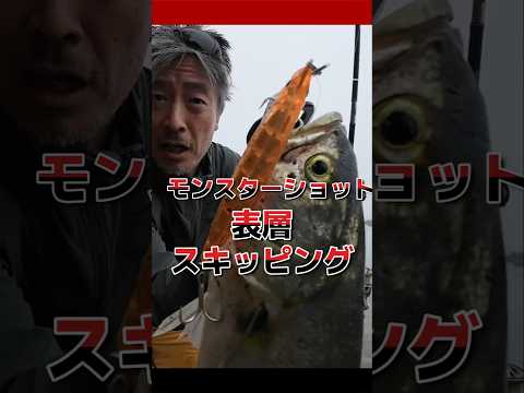 モンスターショット 表層スキッピング がすごかった #fishing #ショアジギング #シンキングペンシル