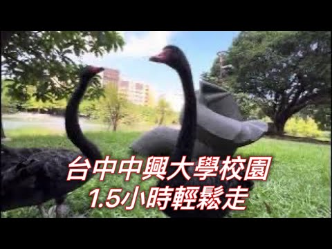 中興大學走走逛逛