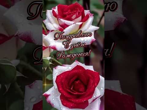 С днём рождения! 🌹🌹🌹