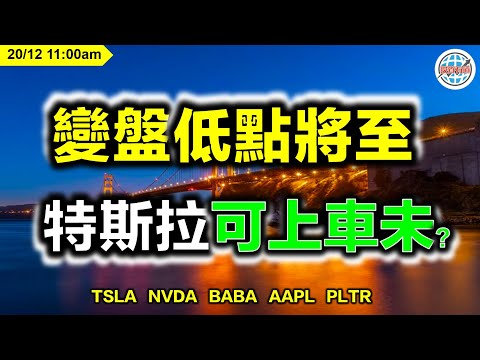 AI投資有道-港股美股研究 I 變盤低點將至，特斯拉可上車未？I TSLA | NVDA | BABA | AAPL | PLTR