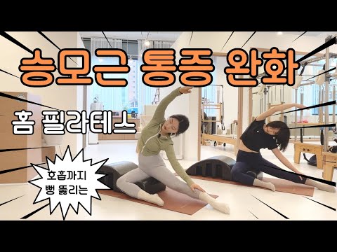 스파인코렉터 홈트 마사지 스트레칭 승모근 어깨 통증 날리기/홈 필라테스/ 옆구리살 타파 / 외측선 운동 @pilates_j