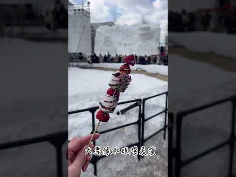 札幌雪祭｜是札幌冬季一年一度的大活動，不管是白天還是晚上各有不同的感覺，如果正好遇上下雪，那真的好浪漫呀。可以把札幌雪祭列入每年必訪清單喔！#hokkaido #北海道 #札幌雪祭り#劉太太和你旅行趣