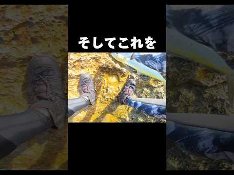 ショアジキで釣れた大魚をそのまま餌にした…#釣り#沖縄#fishing