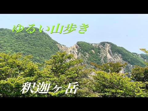 釈迦ヶ岳　やっと鈴鹿に行けた！ゆるい山歩き　釈迦ケ岳〜猫岳〜ハト峰　6月の鈴鹿Part1＃鈴鹿セブンマウンテン＃釈迦ヶ岳