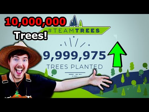 MrBeast Plants 10 Million Trees!! (TeamTrees Hitting 10M)