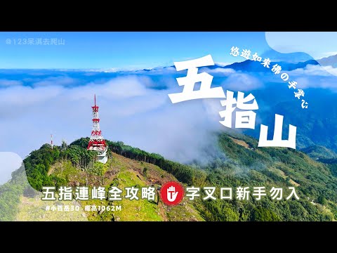 【五指山】#小百岳030｜五峰連綿壯麗景色｜T字叉路攀岩垂降令人心跳加速｜T字叉路挑戰大新手勿試｜五指山不止有佛有猴更是人間仙境｜清朝八景之一