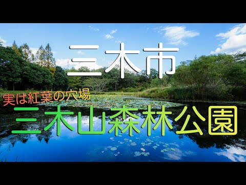 【兵庫県三木市】三木山森林公園の登山気分を楽しめるルート/ Mikiyama Forest Park in Miki, Hyogo Japan.