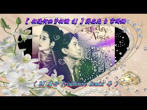 【 相逢何必曾相識 dj 】蔣志光 & 韋綺姍 ( DJ 庸仔 ProgHouse Remix 粵 )