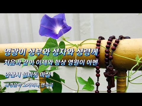 안산시 월피동 마실 (산골 소년의 사랑 이야기 오카리나 연주곡)