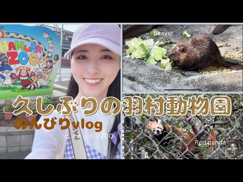 【ゆるvlog】小学生ぶりに羽村市動物公園に行ったら「ヒノトントンZOO」になってた😳【レッサーパンダ】【アメリカンビーバーの赤ちゃん】