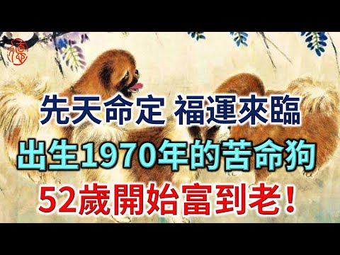 先天命定：出生1970年的苦命狗 ，52歲開始富到老！