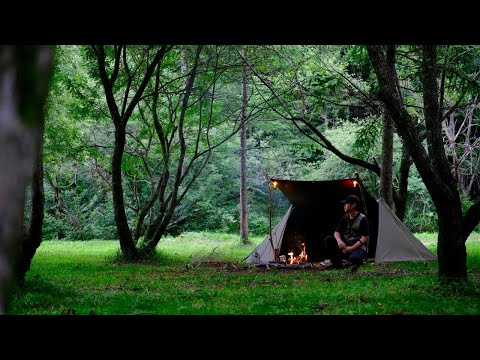 Overnight SOLO Camping in Japanese Beautiful Forest(US army tent / bushcraft)