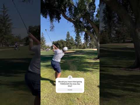 When your friend says he has a window and pulls it off for birdie 😮‍💨 #golfshot #golf #golfswing