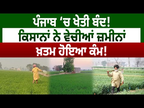 Punjab ‘ਚ ਖੇਤੀ ਬੰਦ! Farmers ਨੇ ਵੇਚੀਆਂ ਜ਼ਮੀਨਾਂ, ਖ਼ਤਮ ਹੋਇਆ ਕੰਮ! D5 Channel Punjabi