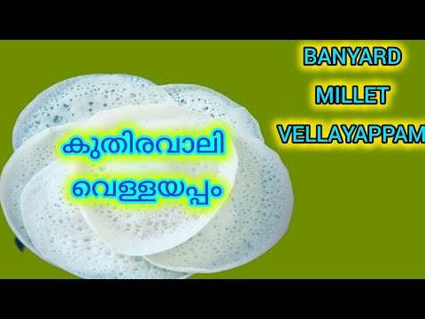 കുതിരവാലി വെള്ളയപ്പം |Millet Vellayappam |Healthy Breakfast