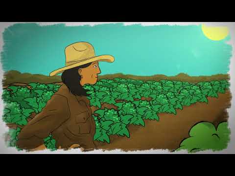 SARE’s cov yeej yaj kiab tas lauv (7): Kev Txuag Dej Episode 7: Water Conservation Hmong/HMoob