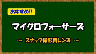 マイクロフォーサーズ  スナップ撮影用おすすめレンズ