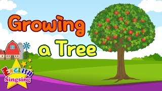 Kids vocabulary - Growing a Tree - Learn English for kids - English educational video