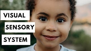 Visual Perception (Occupational Therapy) | Sensory Systems